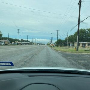 Meet your Posher, Daisy